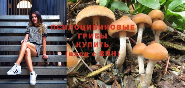 герыч Инсар