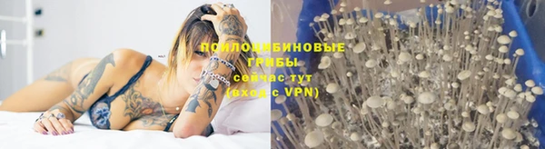 тгк Каменка