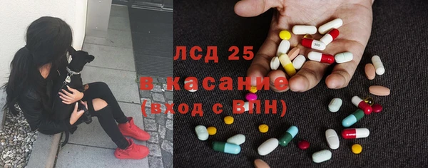 сатива Зеленокумск