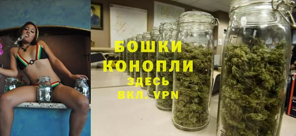 прущие грибы Каменск-Шахтинский