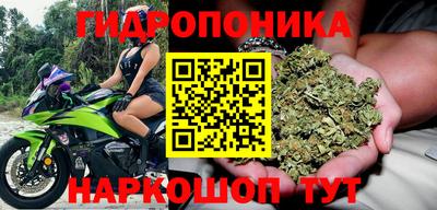 сатива Лесосибирск