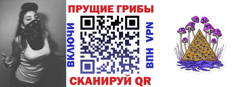 Псилоцибиновые грибы мухоморы Сосновый Бор