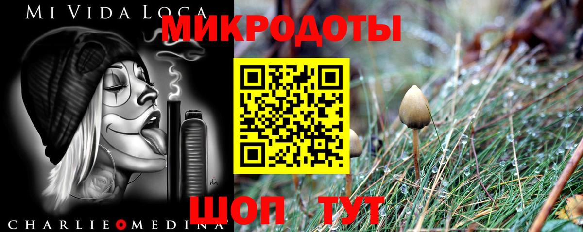 Галлюциногенные грибы Psilocybe Сосновый Бор