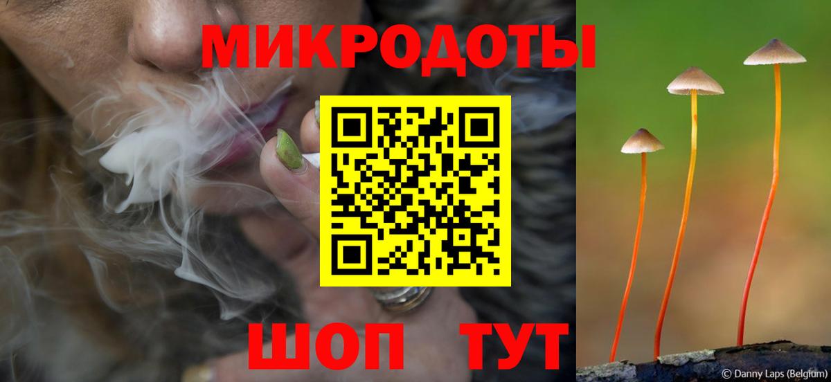Галлюциногенные грибы мухоморы Сосновый Бор