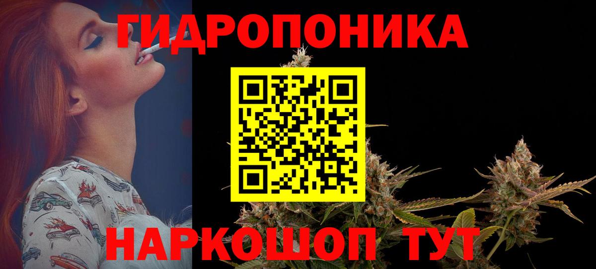 Конопля AK-47  МАРИХУАНА SATIVA & INDICA  Канабис индика  Вход с VPN  Сосновый Бор  Канабис VHQ 
