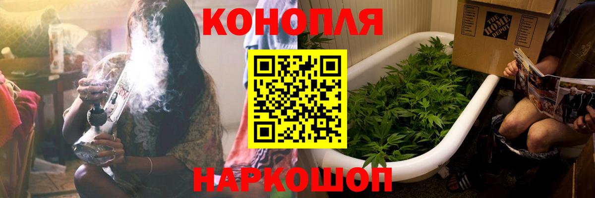 Бошки Шишки White Widow Сосновый Бор